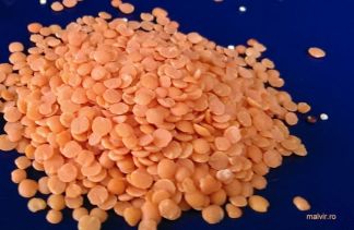 IMAG1051 (640x418)_result