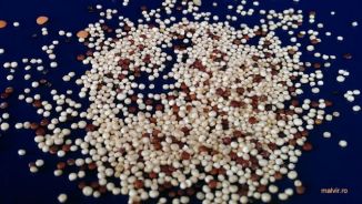 IMAG1052 (640x363)_result