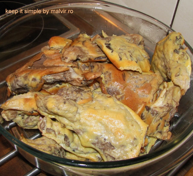 Pleurotus pane (640x583)_result